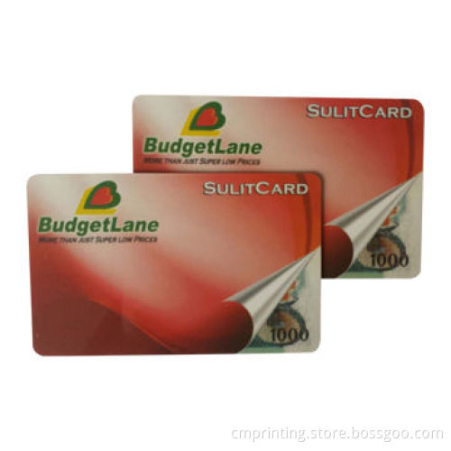 Memory IC Card, PVC Card with Chip, Full Color Printing